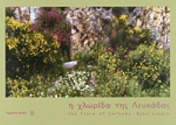 S��S� CU� ��