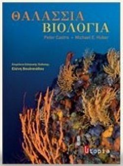 S��S� CU� ��