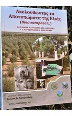 S��S� CU� ��