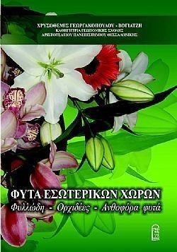 S��S� CU� ��