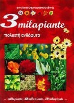 S��S� CU� ��