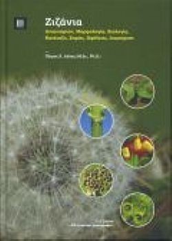 S��S� CU� ��