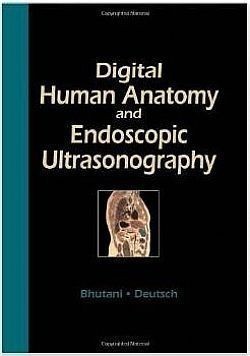 S��S� CU� ��