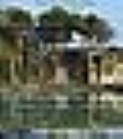 S��S� CU� ��