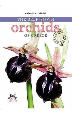 S��S� CU� ��