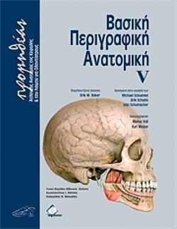 S��S� CU� ��