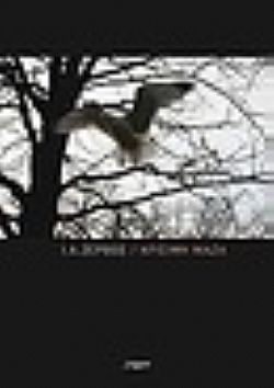 S��S� CU� ��