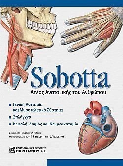 S��S� CU� ��