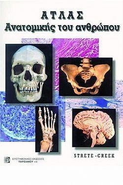 S��S� CU� ��