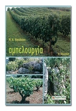 S��S� CU� ��