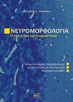 S��S� CU� ��