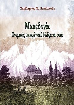 S��S� CU� ��