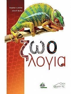 S��S� CU� ��