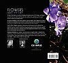 Flowers Olympus terra and mare-     