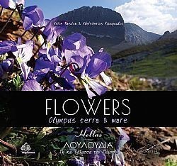 S��S� CU� ��