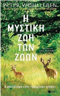 S��S� CU� ��