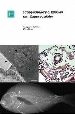 S��S� CU� ��