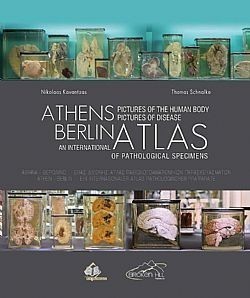 S��S� CU� ��