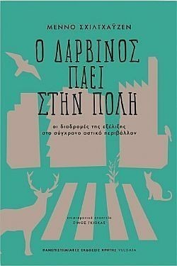 S��S� CU� ��