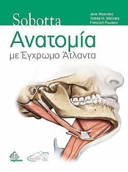 S��S� CU� ��