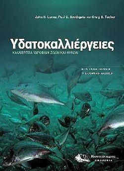 S��S� CU� ��