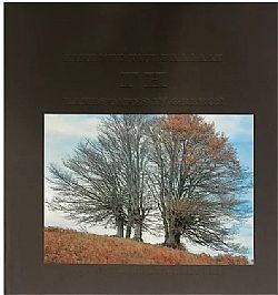 S��S� CU� ��