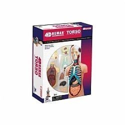 S��S� CU� ��