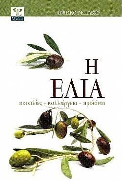 S��S� CU� ��