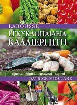 S��S� CU� ��