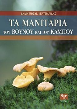 S��S� CU� ��