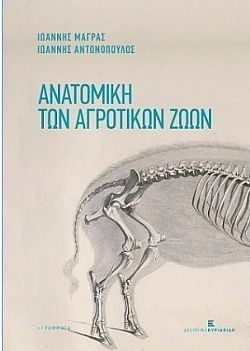 S��S� CU� ��