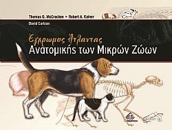 S��S� CU� ��