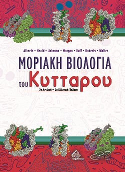 S��S� CU� ��